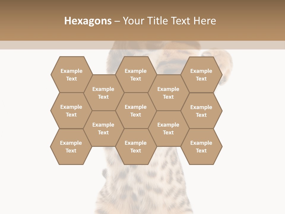 Kitty Cute Companion PowerPoint Template