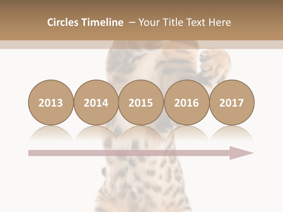 Kitty Cute Companion PowerPoint Template