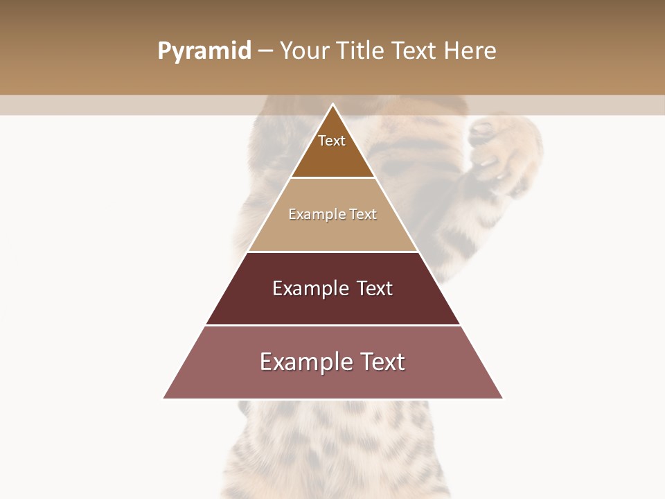 Kitty Cute Companion PowerPoint Template