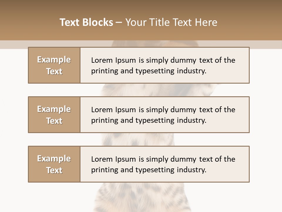 Kitty Cute Companion PowerPoint Template