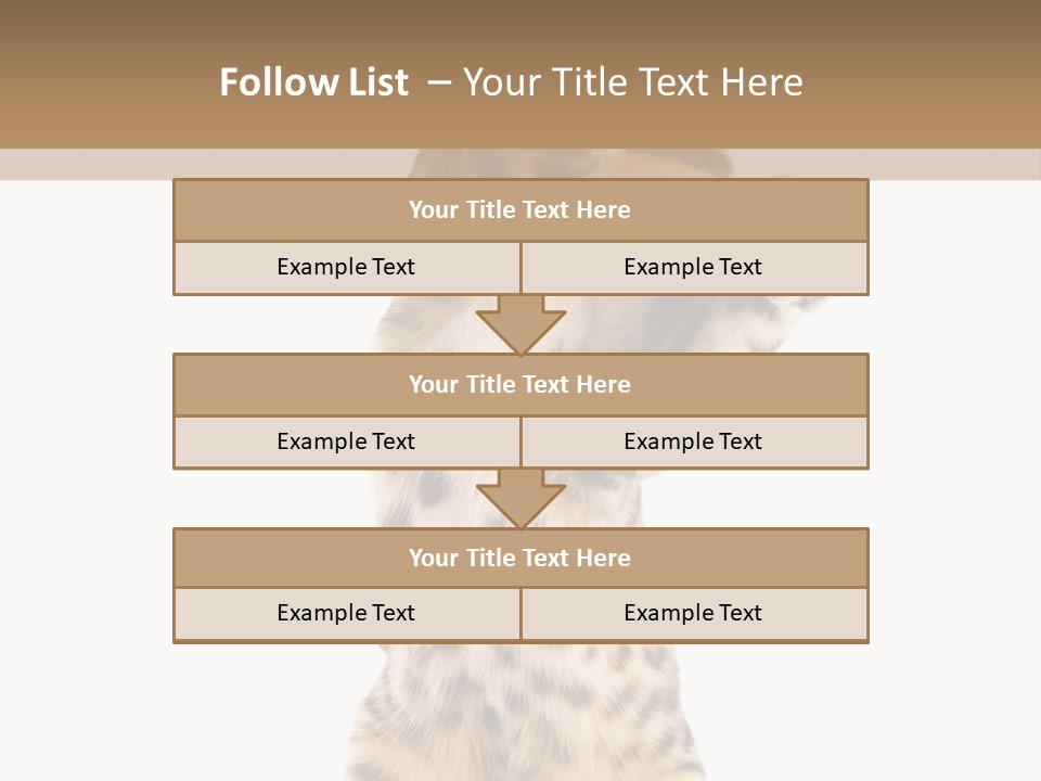Kitty Cute Companion PowerPoint Template