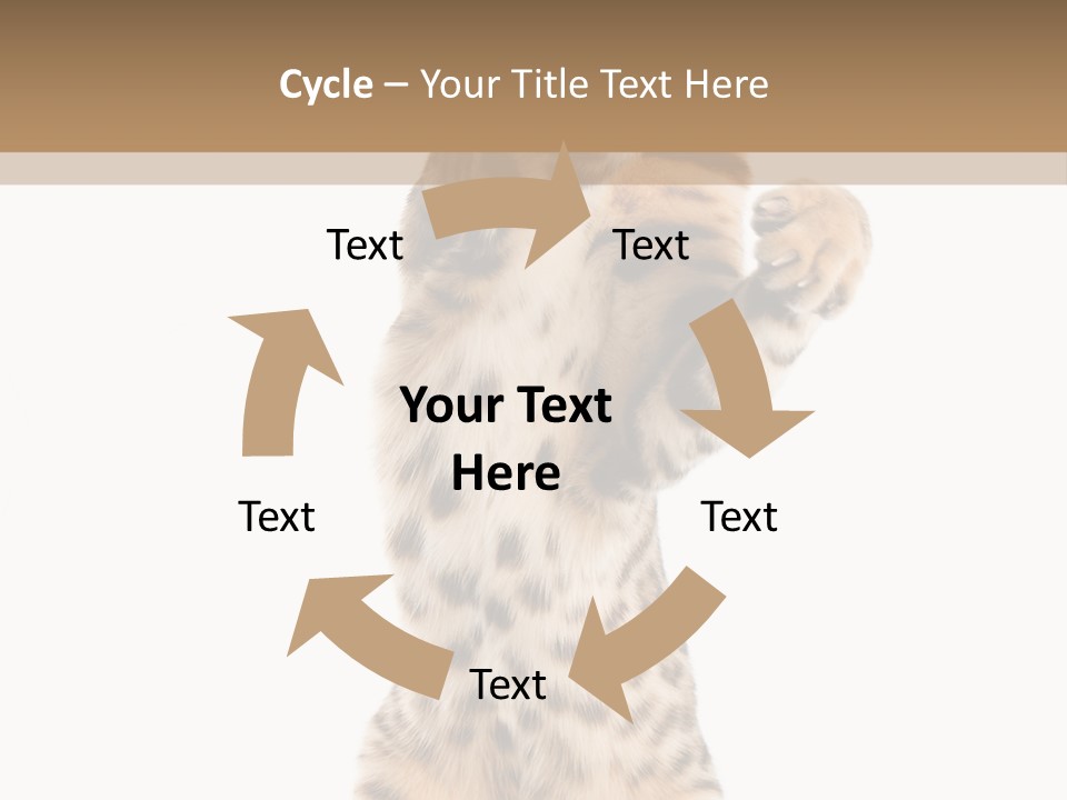 Kitty Cute Companion PowerPoint Template