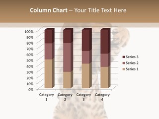 Kitty Cute Companion PowerPoint Template