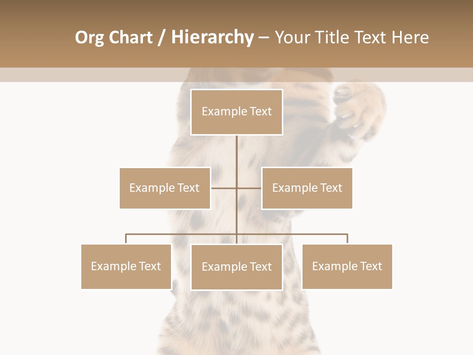 Kitty Cute Companion PowerPoint Template