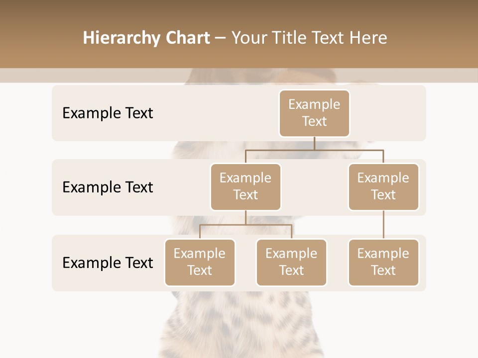 Kitty Cute Companion PowerPoint Template