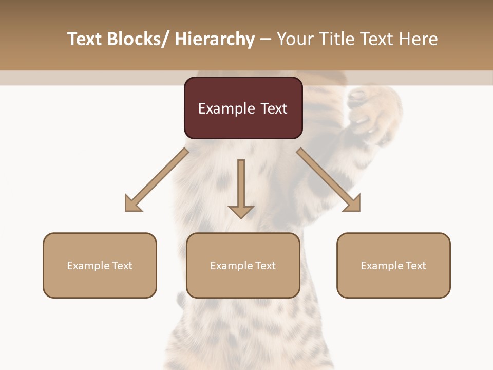 Kitty Cute Companion PowerPoint Template