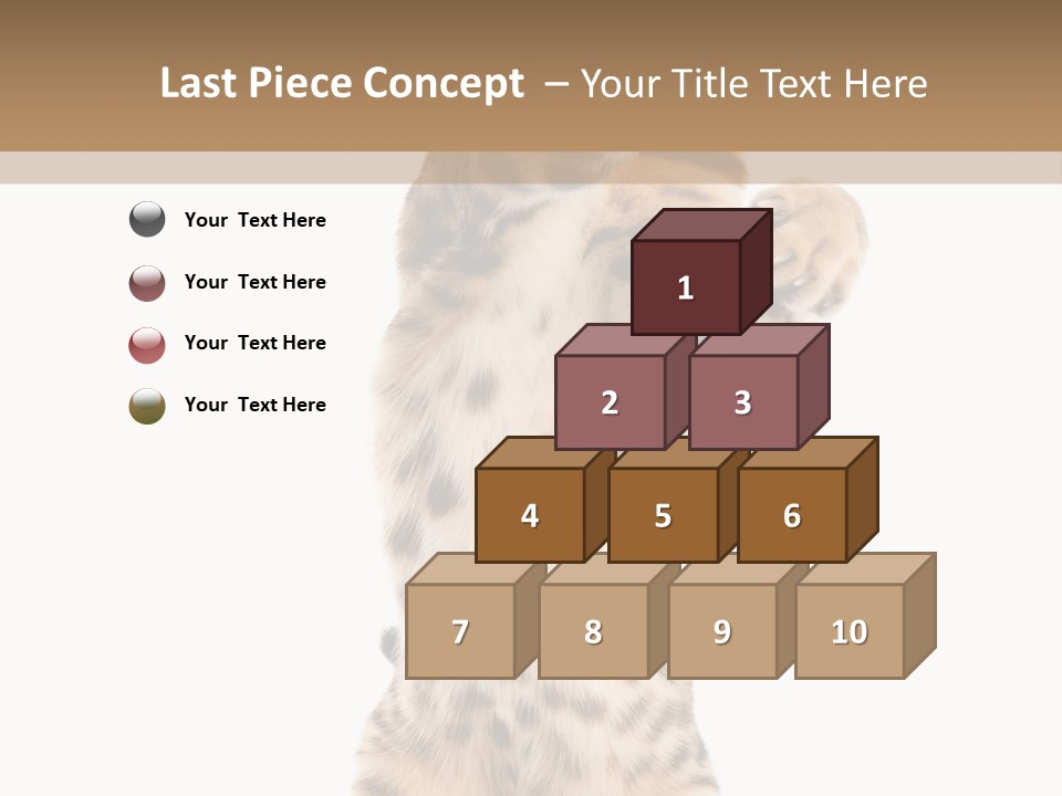 Kitty Cute Companion PowerPoint Template