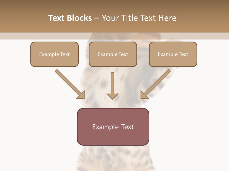 Kitty Cute Companion PowerPoint Template
