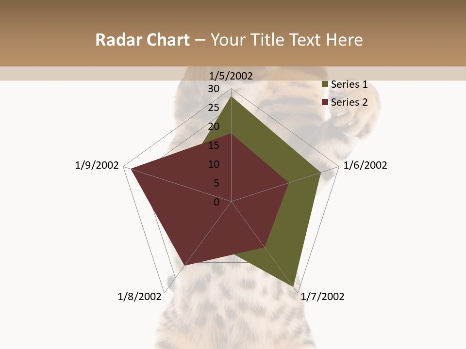 Kitty Cute Companion PowerPoint Template