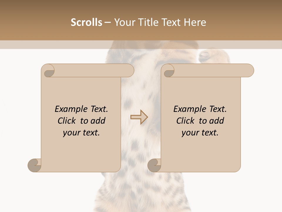 Kitty Cute Companion PowerPoint Template