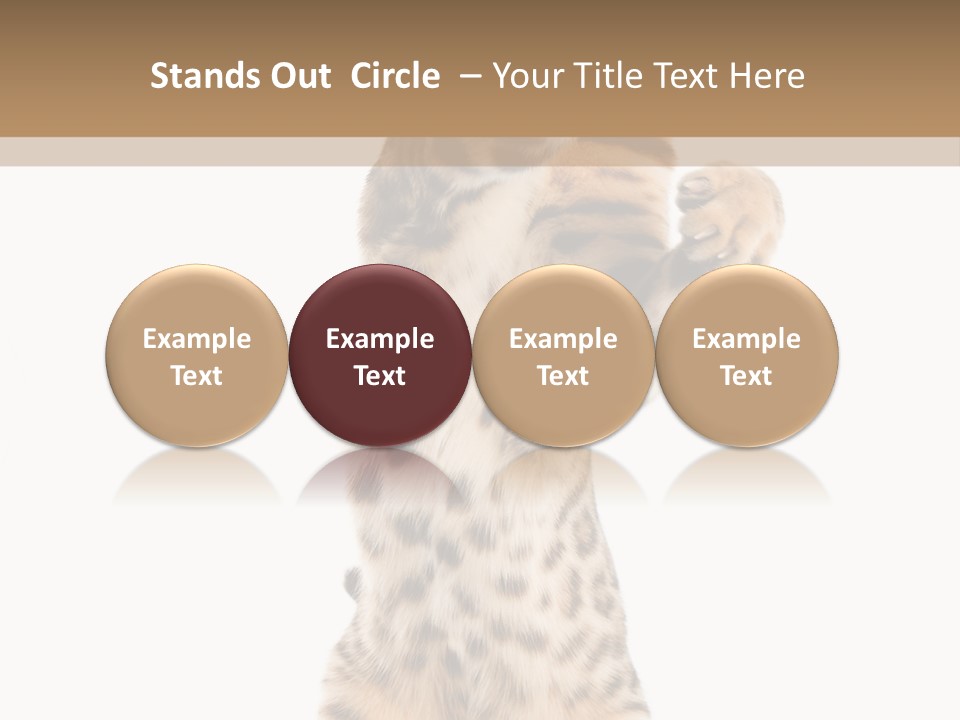 Kitty Cute Companion PowerPoint Template