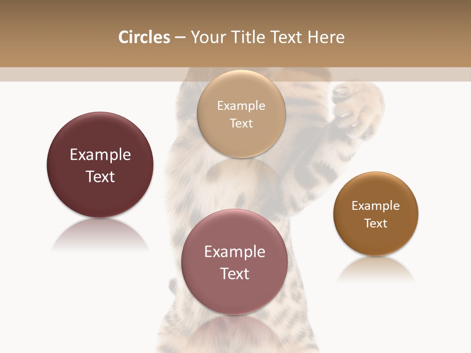 Kitty Cute Companion PowerPoint Template