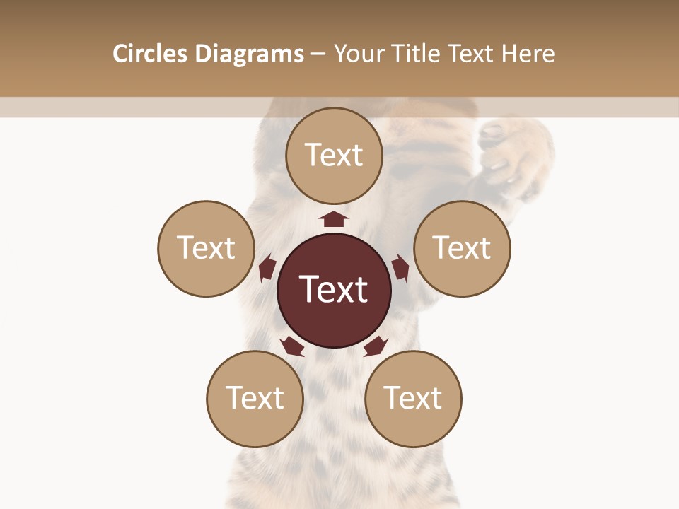 Kitty Cute Companion PowerPoint Template