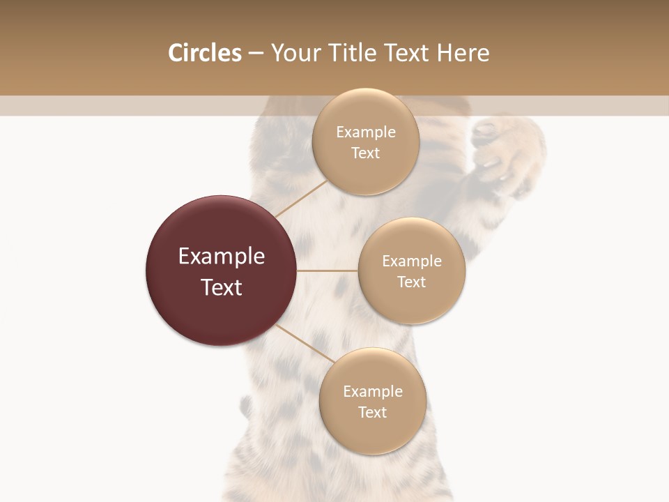 Kitty Cute Companion PowerPoint Template