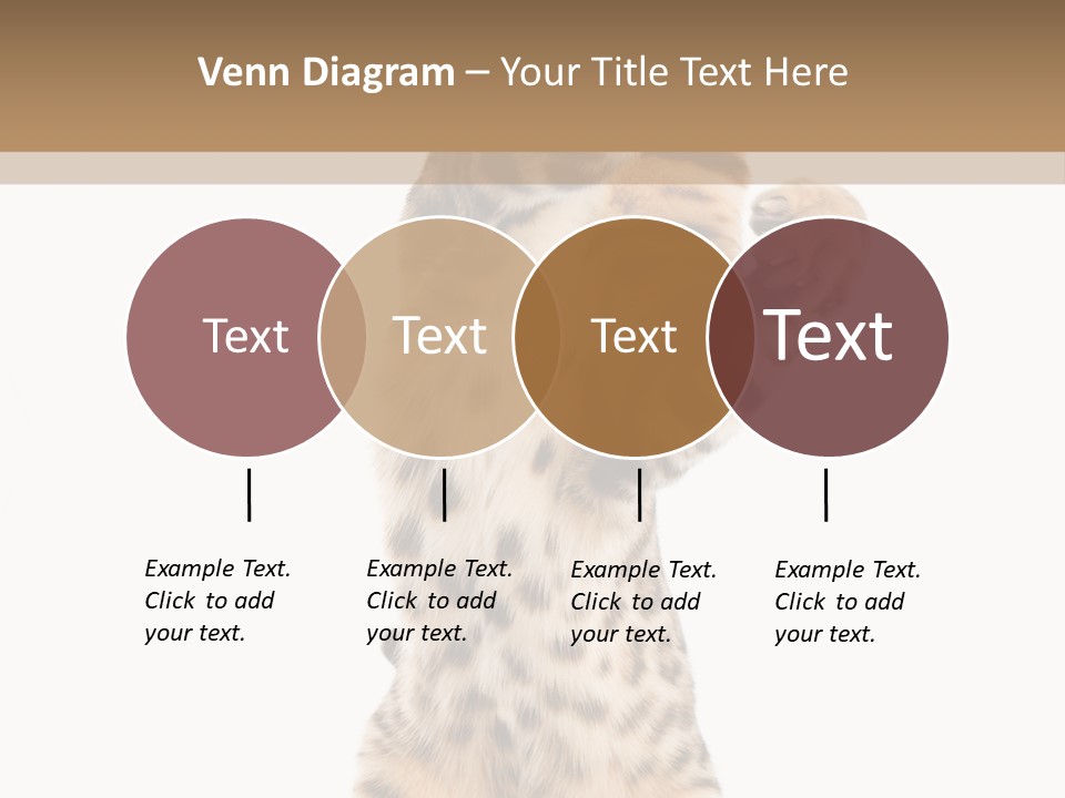 Kitty Cute Companion PowerPoint Template