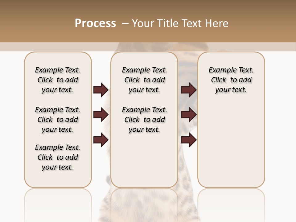 Kitty Cute Companion PowerPoint Template
