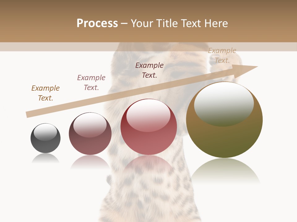 Kitty Cute Companion PowerPoint Template