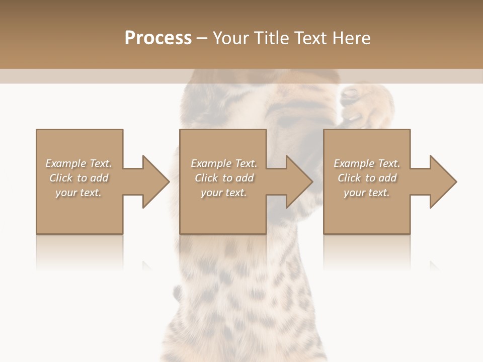 Kitty Cute Companion PowerPoint Template