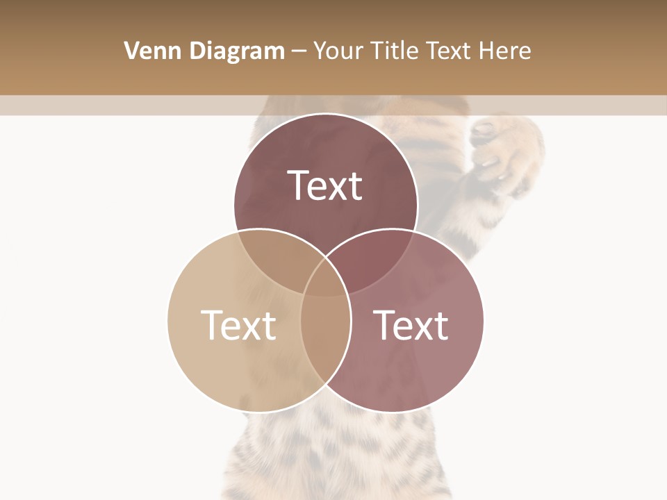 Kitty Cute Companion PowerPoint Template