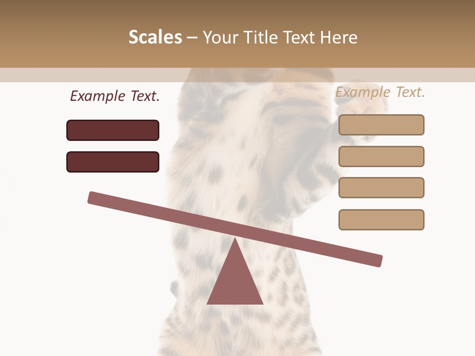Kitty Cute Companion PowerPoint Template