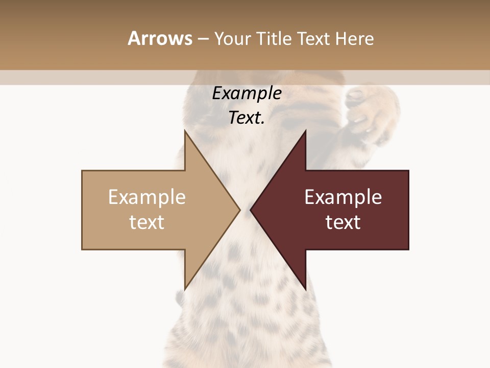 Kitty Cute Companion PowerPoint Template