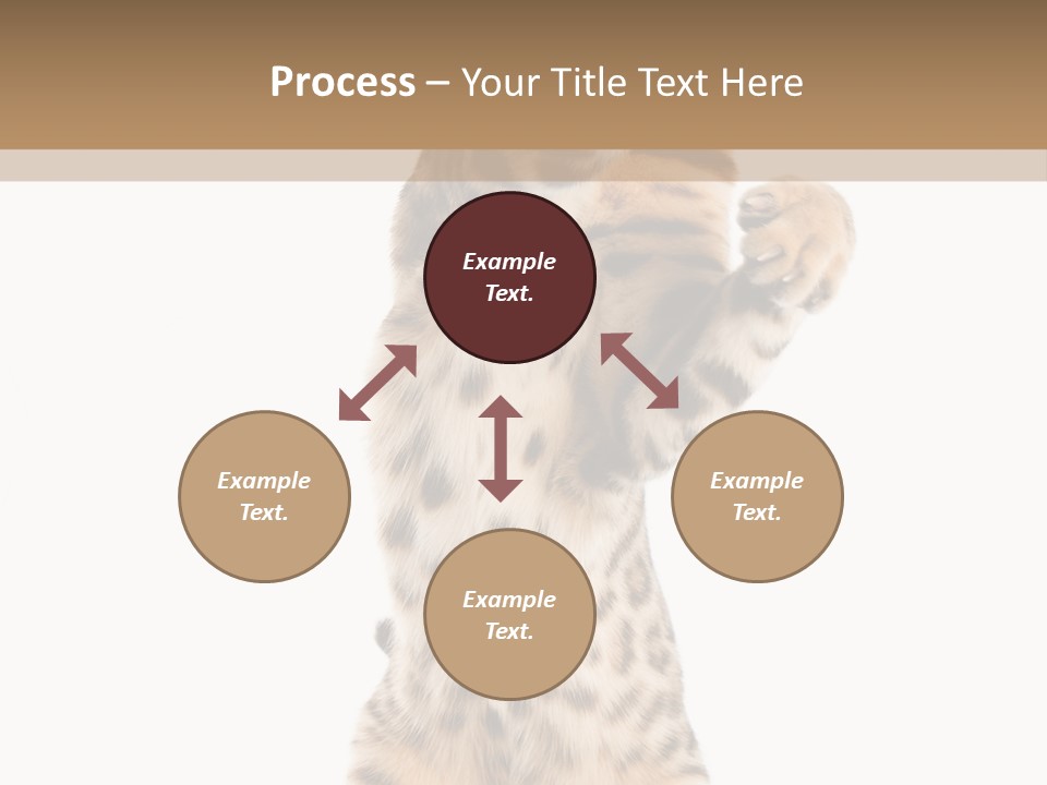 Kitty Cute Companion PowerPoint Template