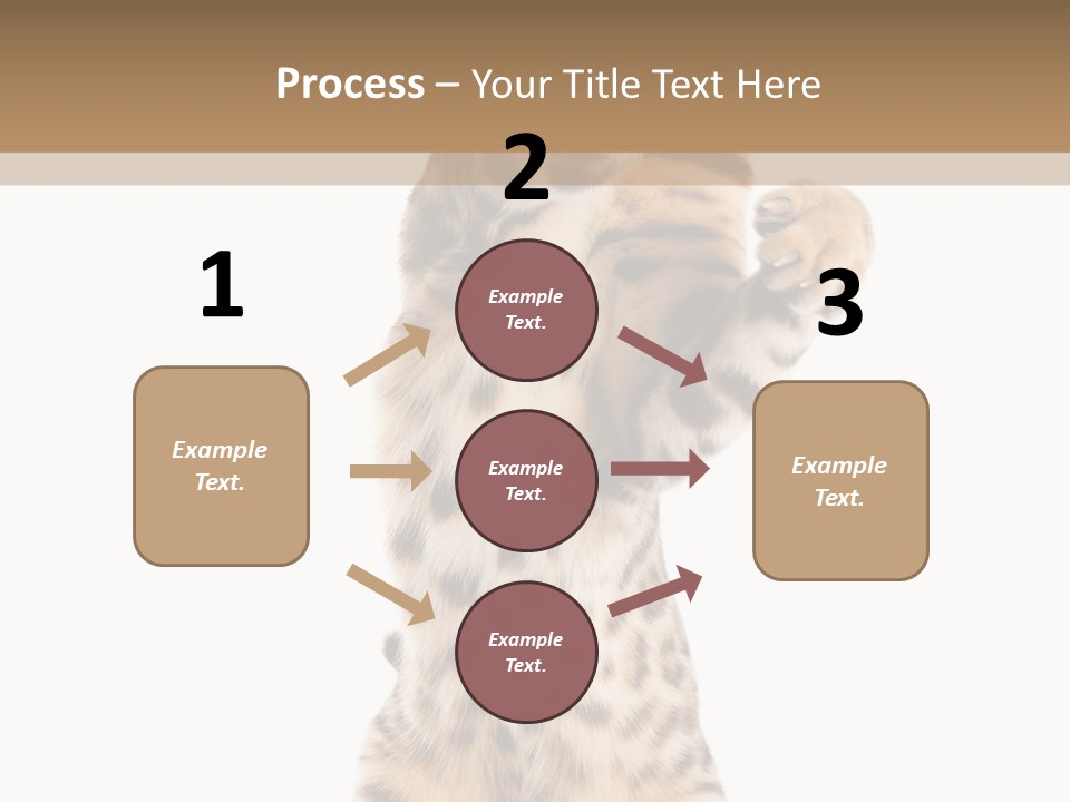 Kitty Cute Companion PowerPoint Template