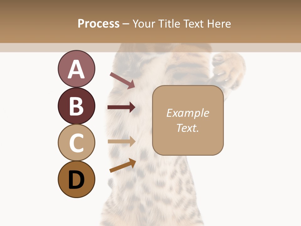 Kitty Cute Companion PowerPoint Template