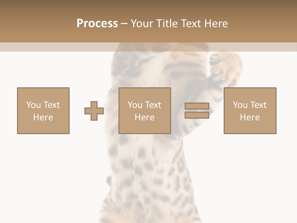 Kitty Cute Companion PowerPoint Template