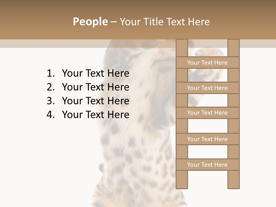 Kitty Cute Companion PowerPoint Template