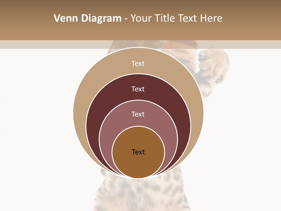 Kitty Cute Companion PowerPoint Template