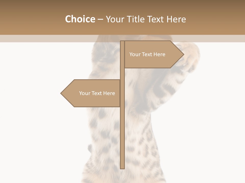 Kitty Cute Companion PowerPoint Template