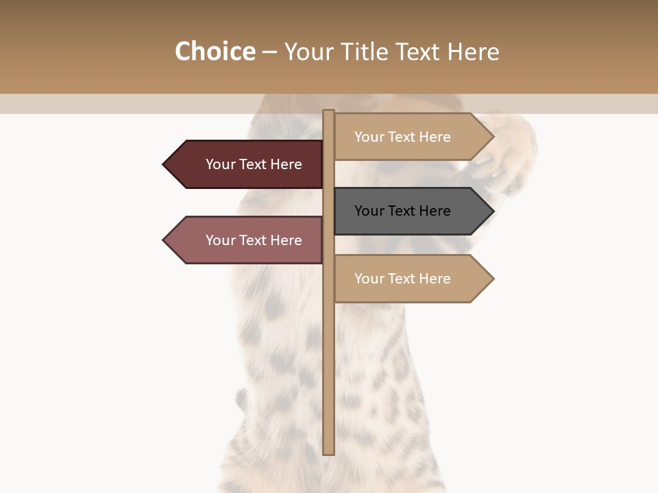 Kitty Cute Companion PowerPoint Template