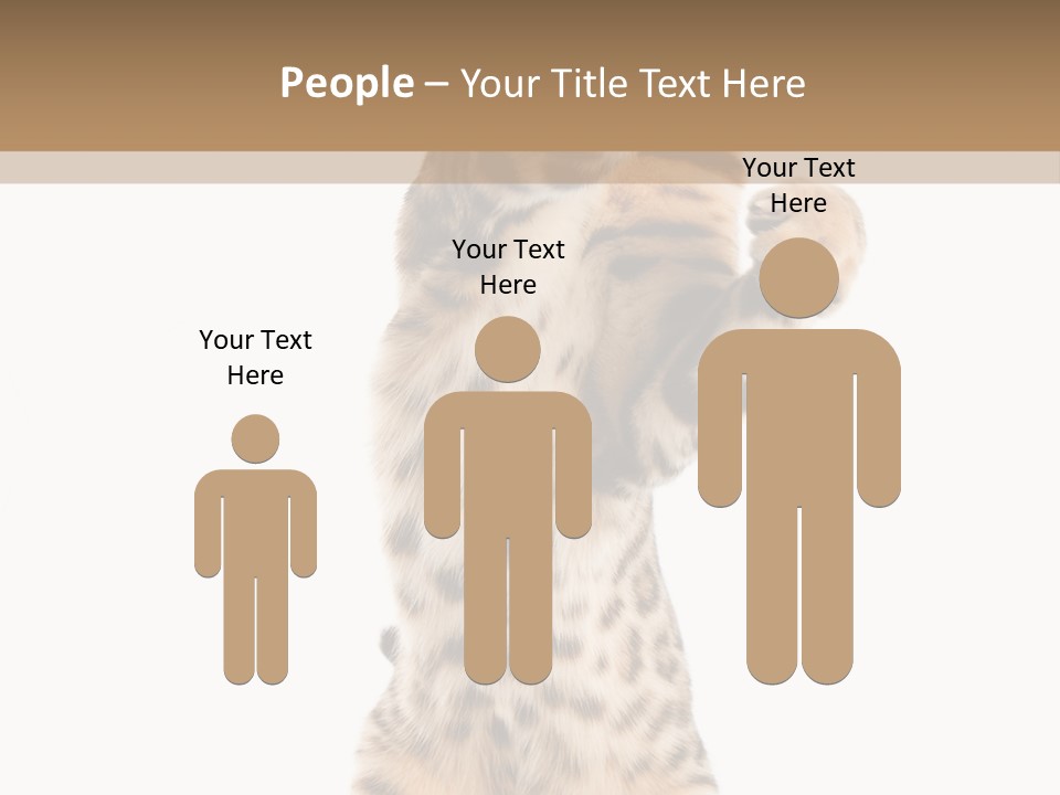 Kitty Cute Companion PowerPoint Template