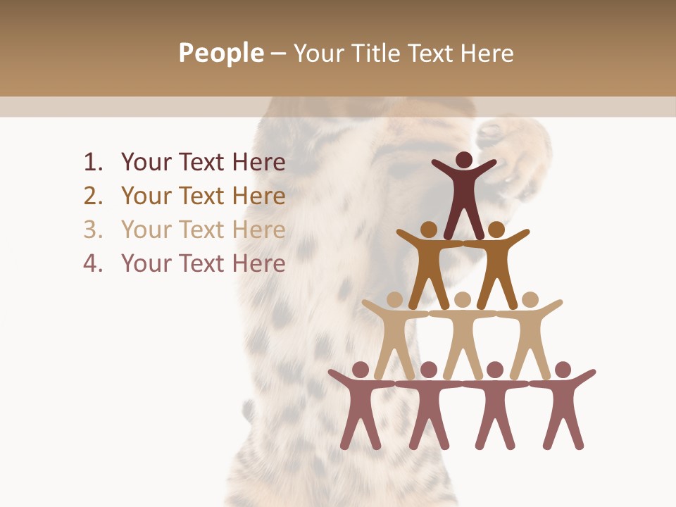 Kitty Cute Companion PowerPoint Template