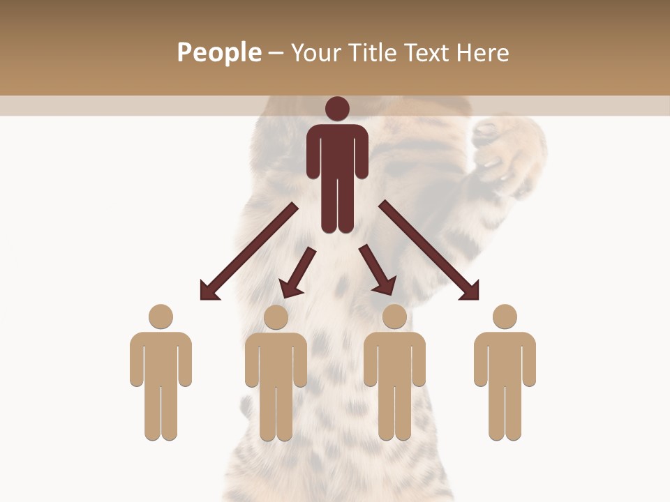Kitty Cute Companion PowerPoint Template