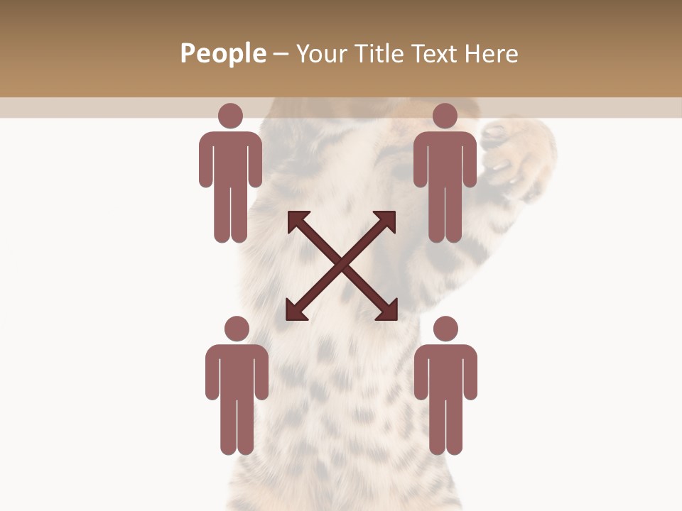 Kitty Cute Companion PowerPoint Template