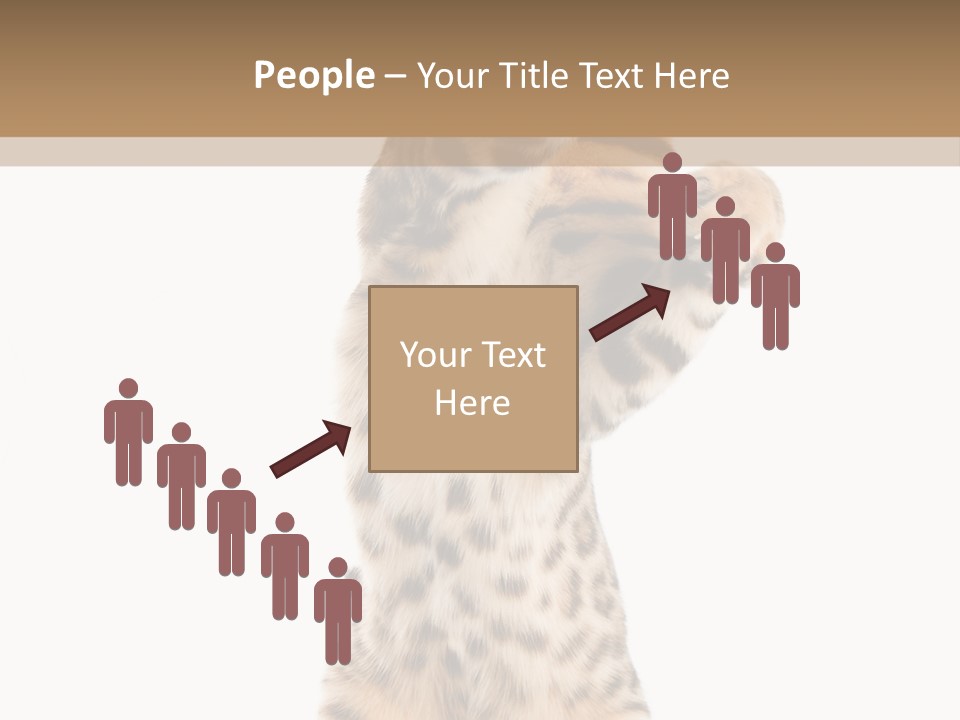 Kitty Cute Companion PowerPoint Template