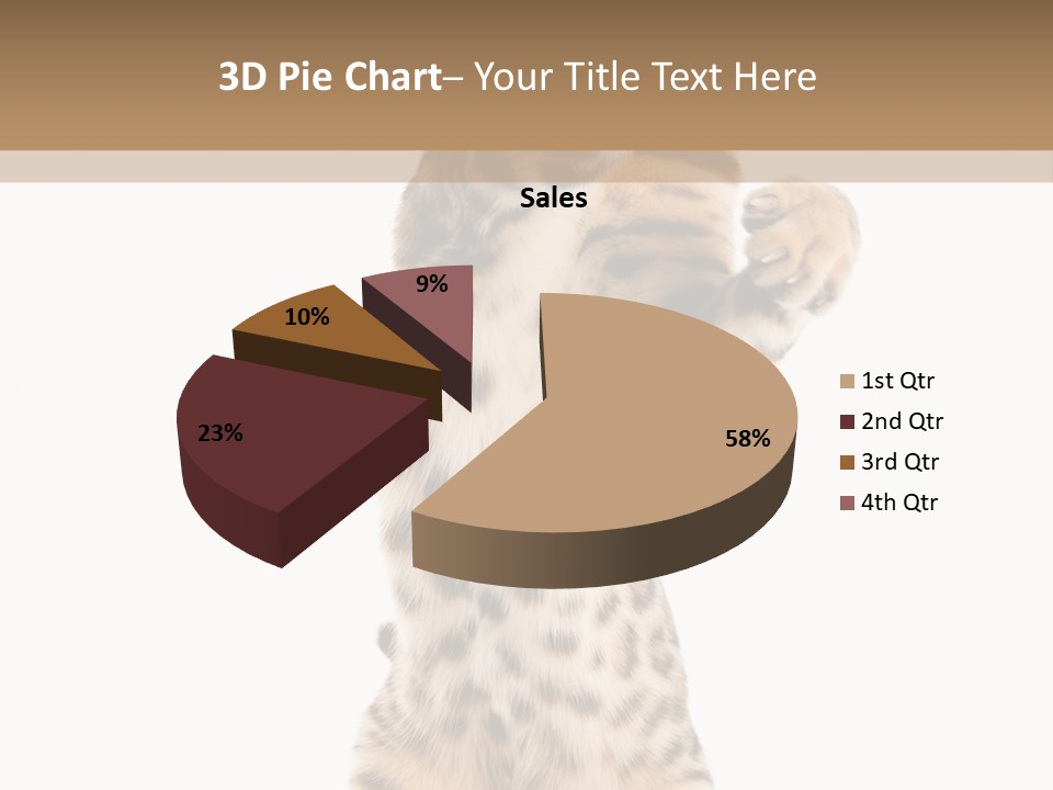 Kitty Cute Companion PowerPoint Template