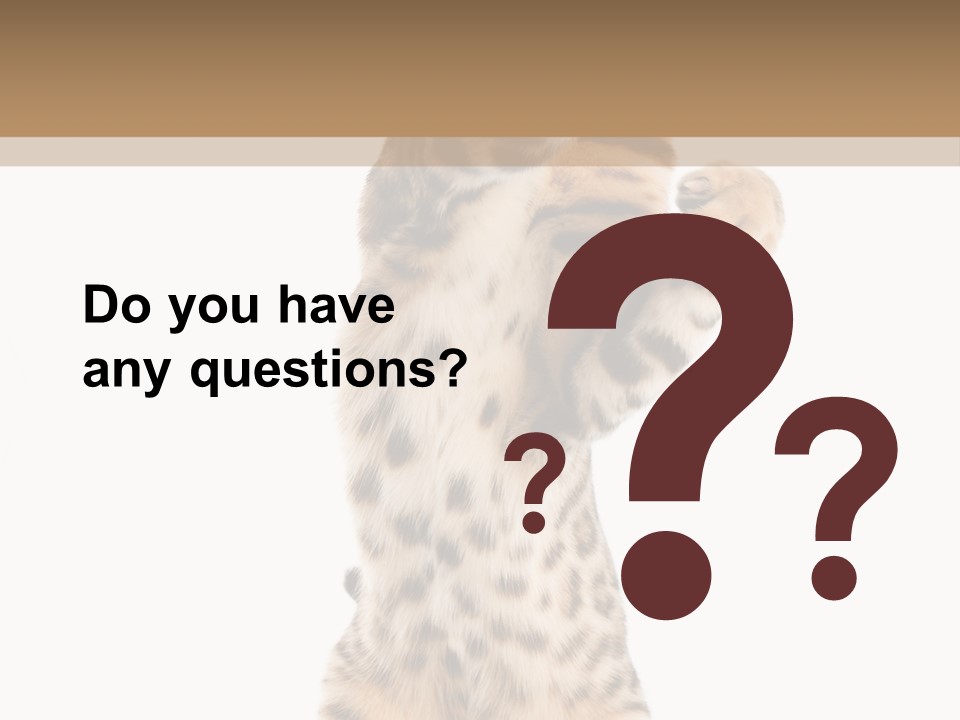 Kitty Cute Companion PowerPoint Template