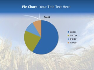 Efficiency Development Rotate PowerPoint Template