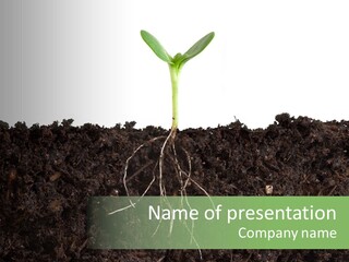 Ground One White PowerPoint Template