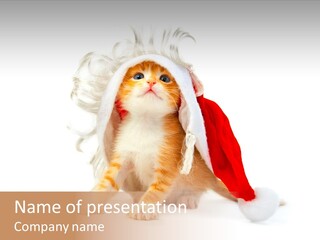 Kitten Mammal Xmas PowerPoint Template