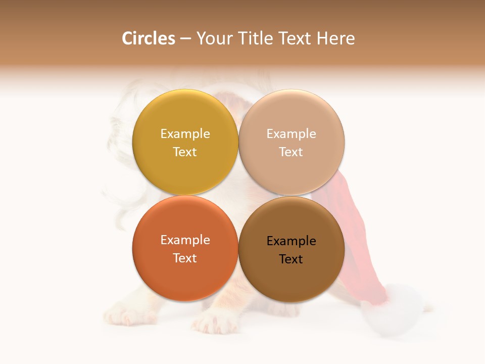 Kitten Mammal Xmas PowerPoint Template