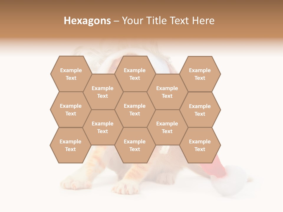 Kitten Mammal Xmas PowerPoint Template