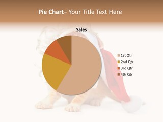 Kitten Mammal Xmas PowerPoint Template