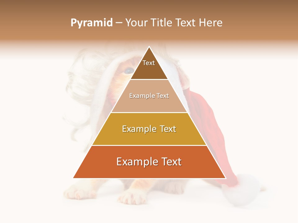 Kitten Mammal Xmas PowerPoint Template