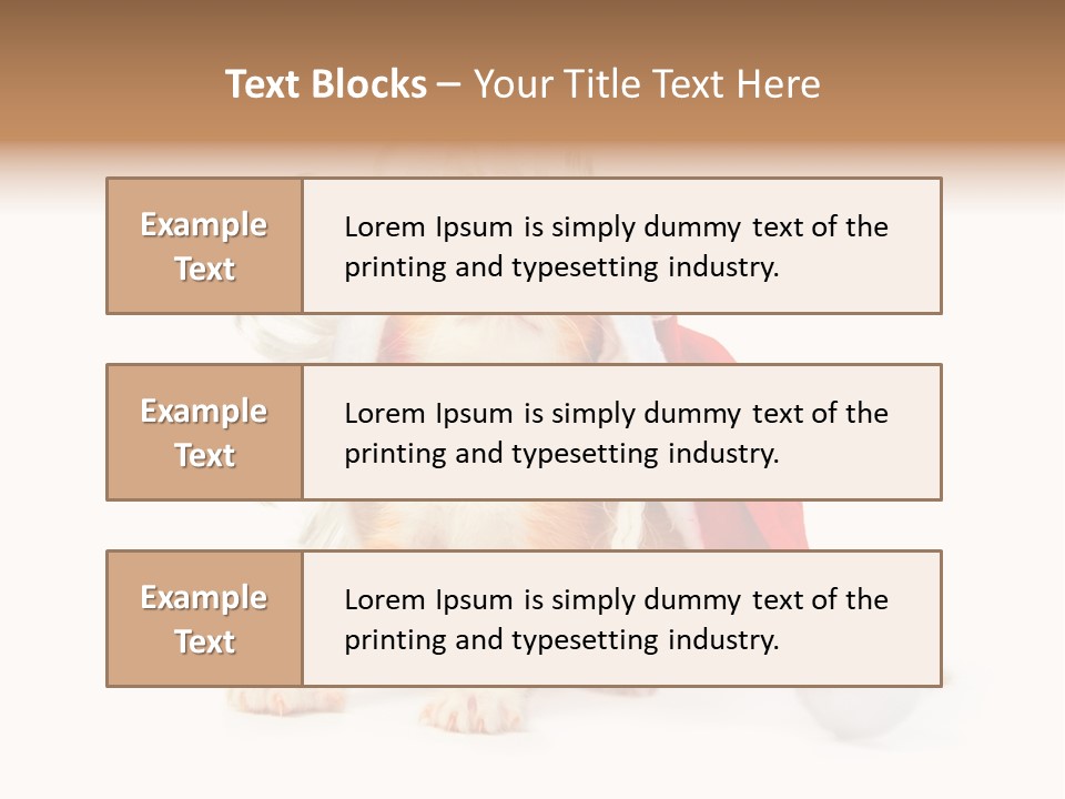Kitten Mammal Xmas PowerPoint Template