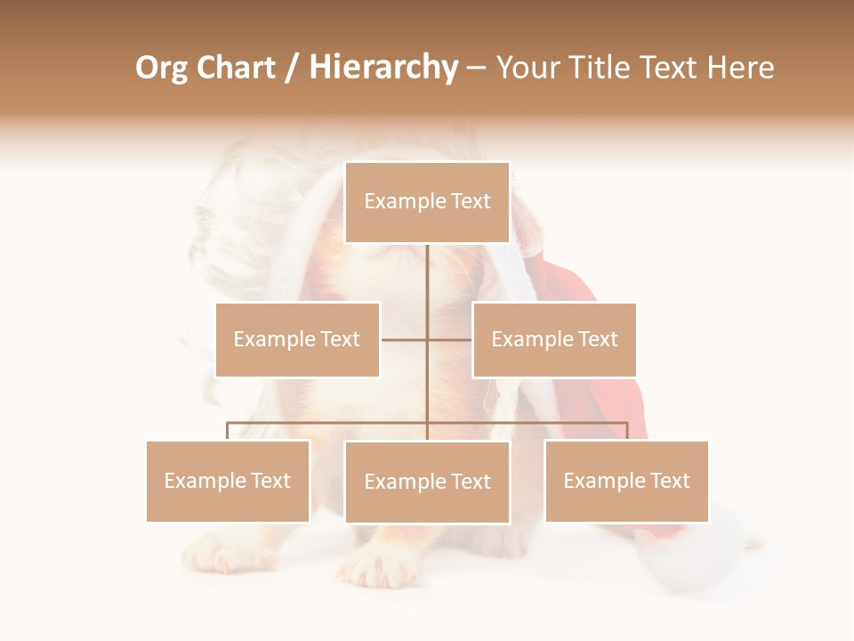 Kitten Mammal Xmas PowerPoint Template