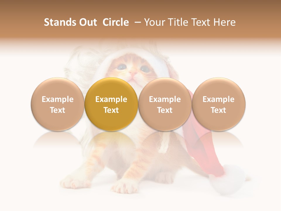 Kitten Mammal Xmas PowerPoint Template